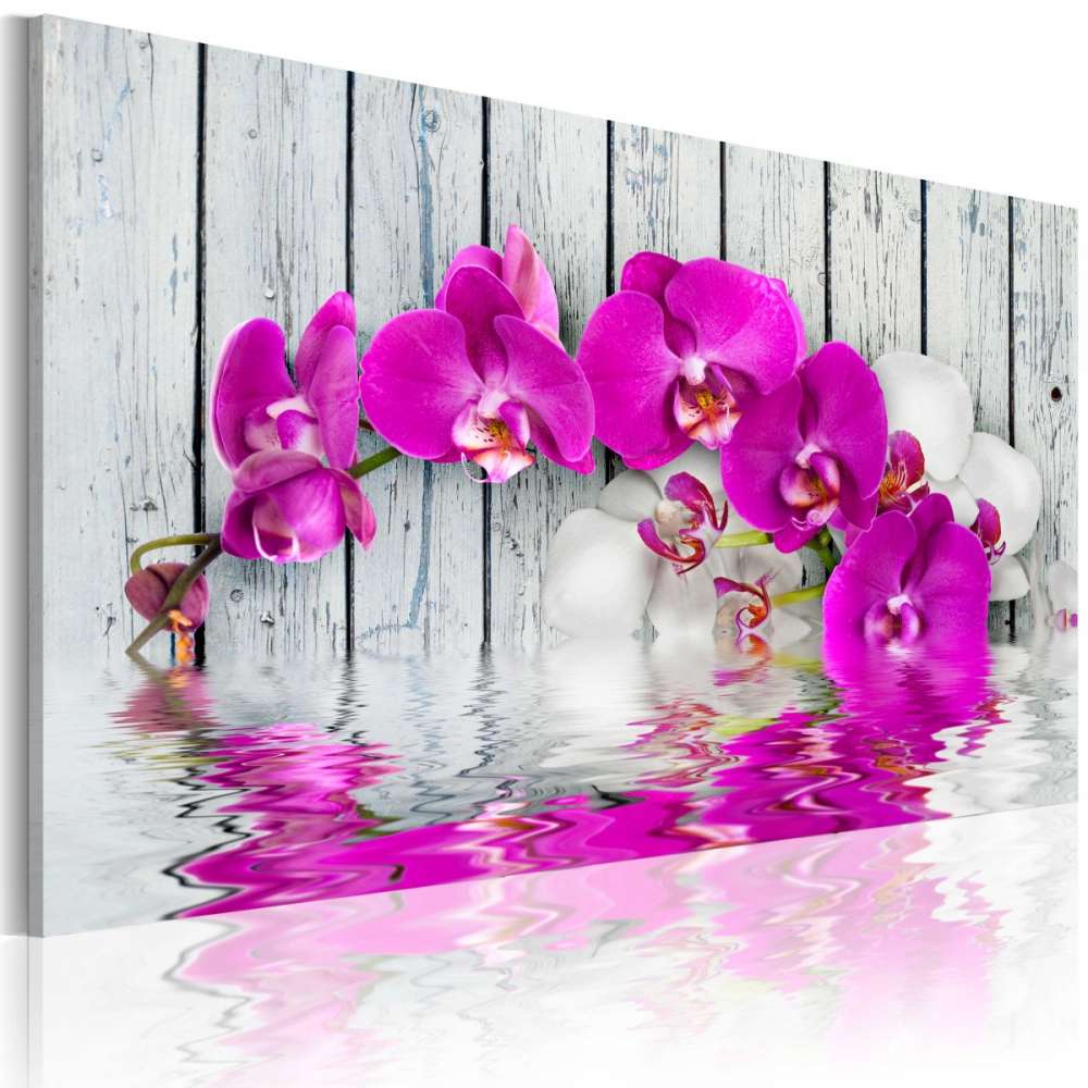 Obraz  harmonia orchidea