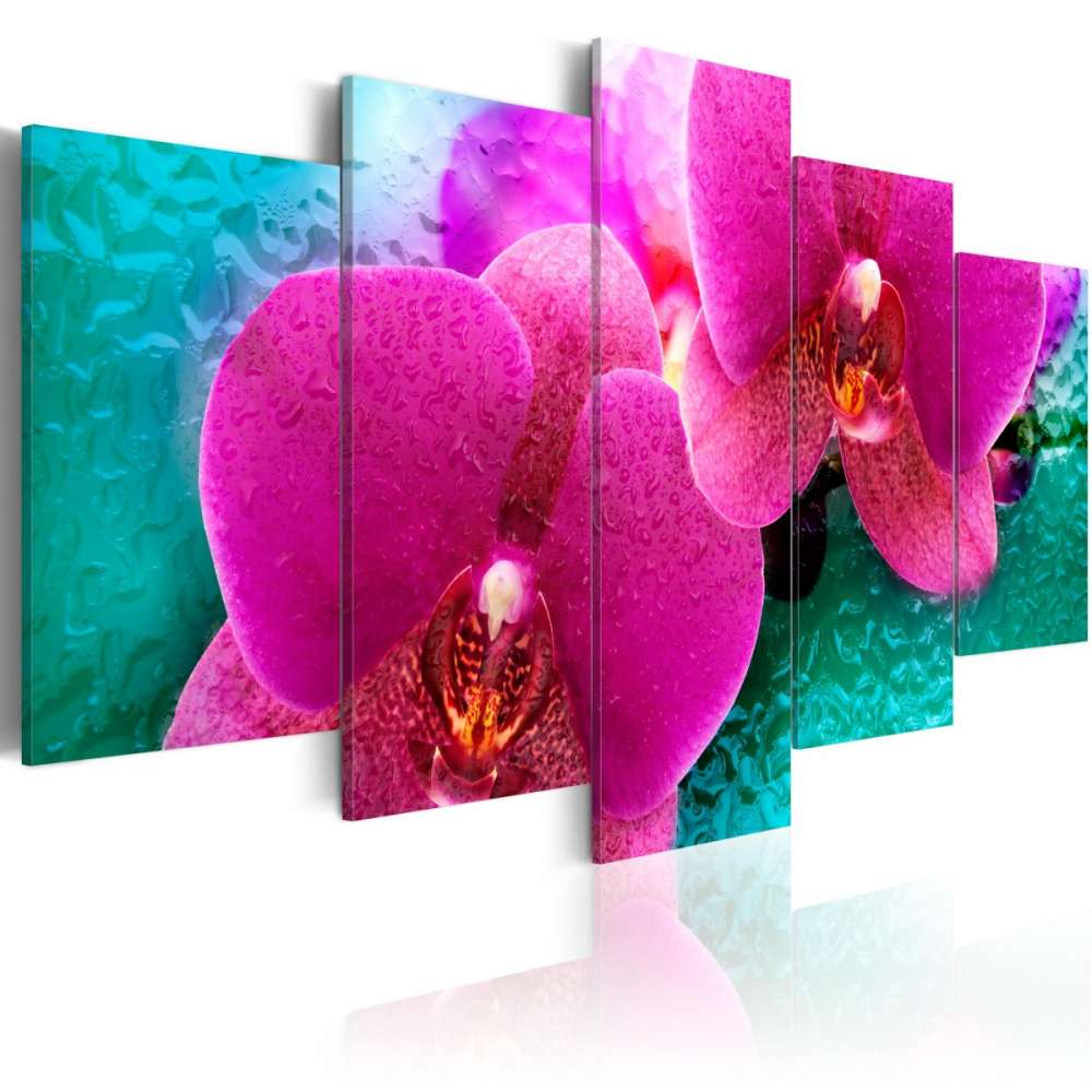 Obraz  Exotic orchids