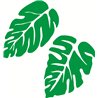Malarski urok natury: Monstera najmodniejszy trend