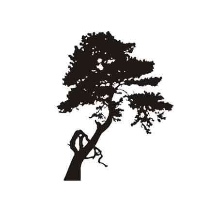 Naklejka dekoracyjna TX 05,...