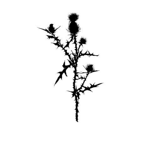 Naklejka dekoracyjna PX...