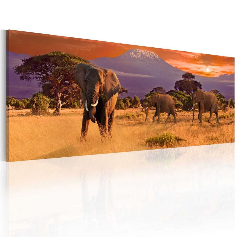 Obraz  Marsz afrykańskich słoni