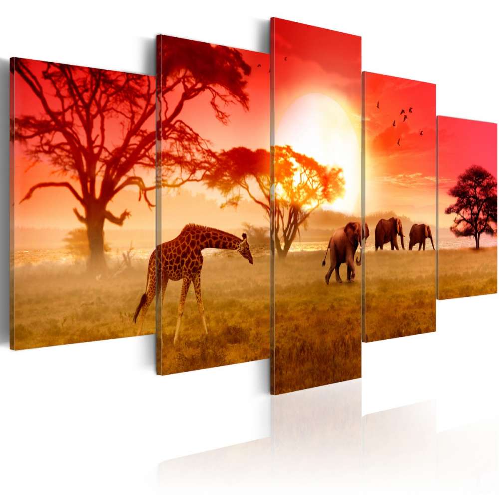Obraz  Słoneczne kolory Afryki
