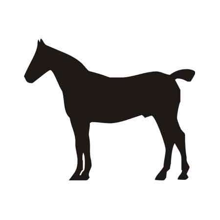 Szablon malarski EXH 10,...