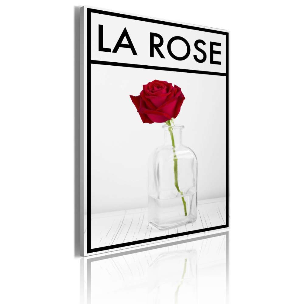 Obraz  La rose